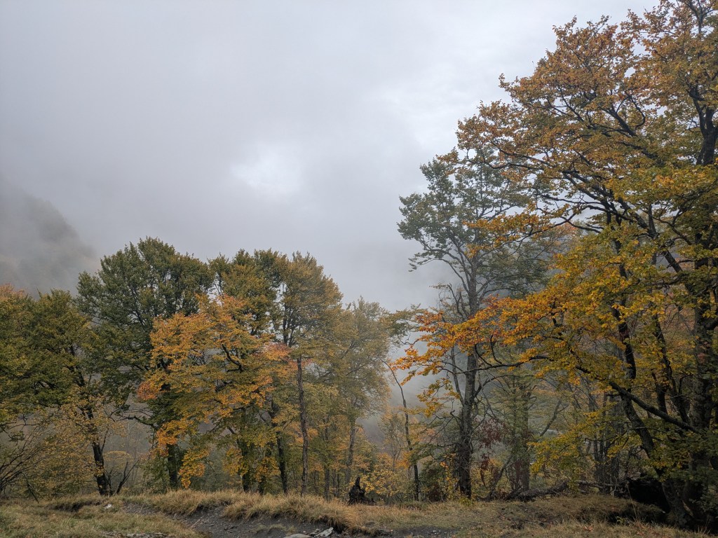 Jour 14 – Lac d’Oô